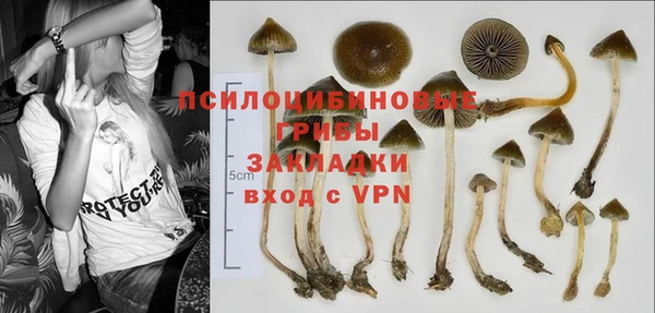 jwh Аркадак