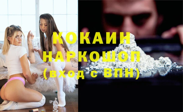 сатива Новозыбков